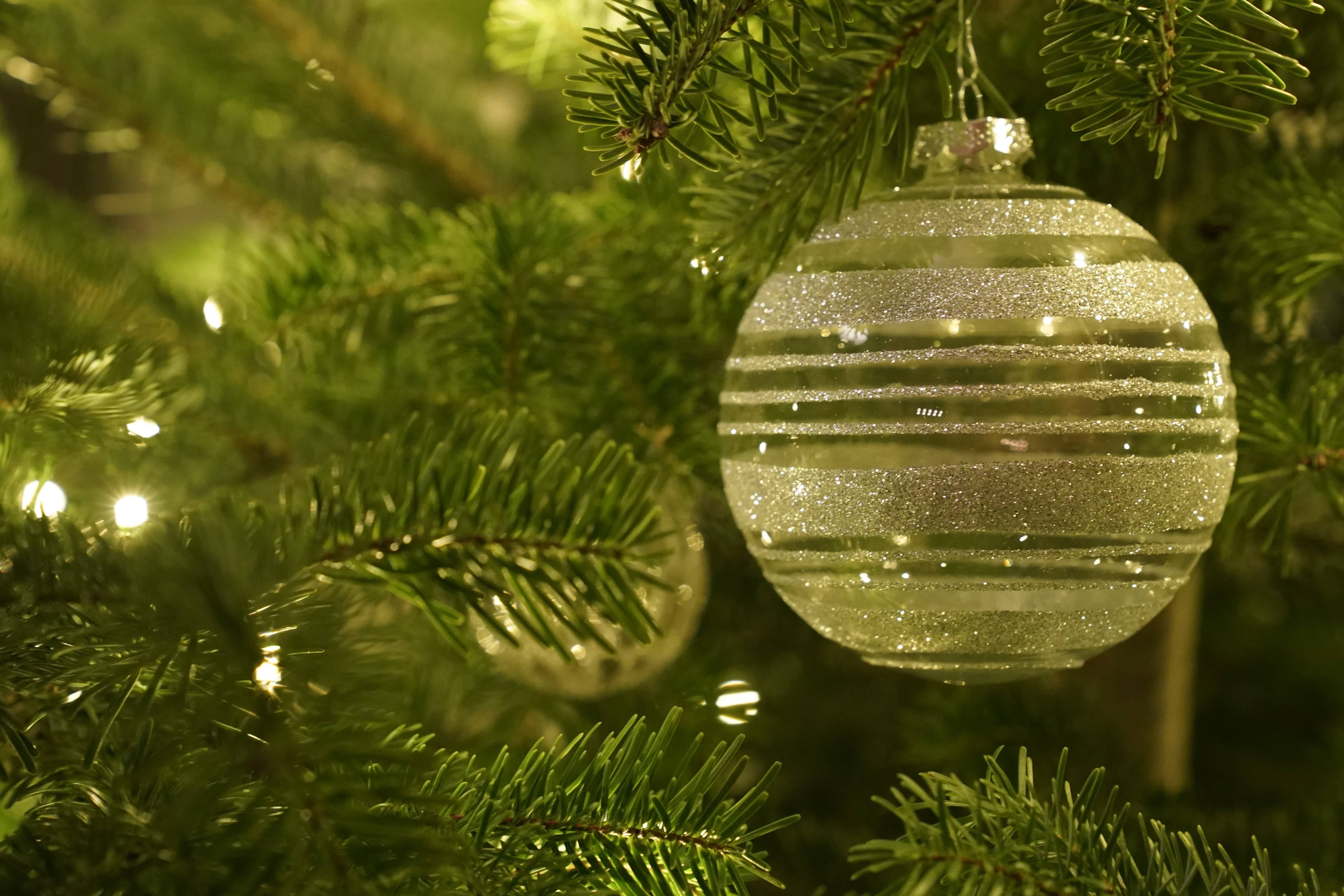 Frohe Weihnachten