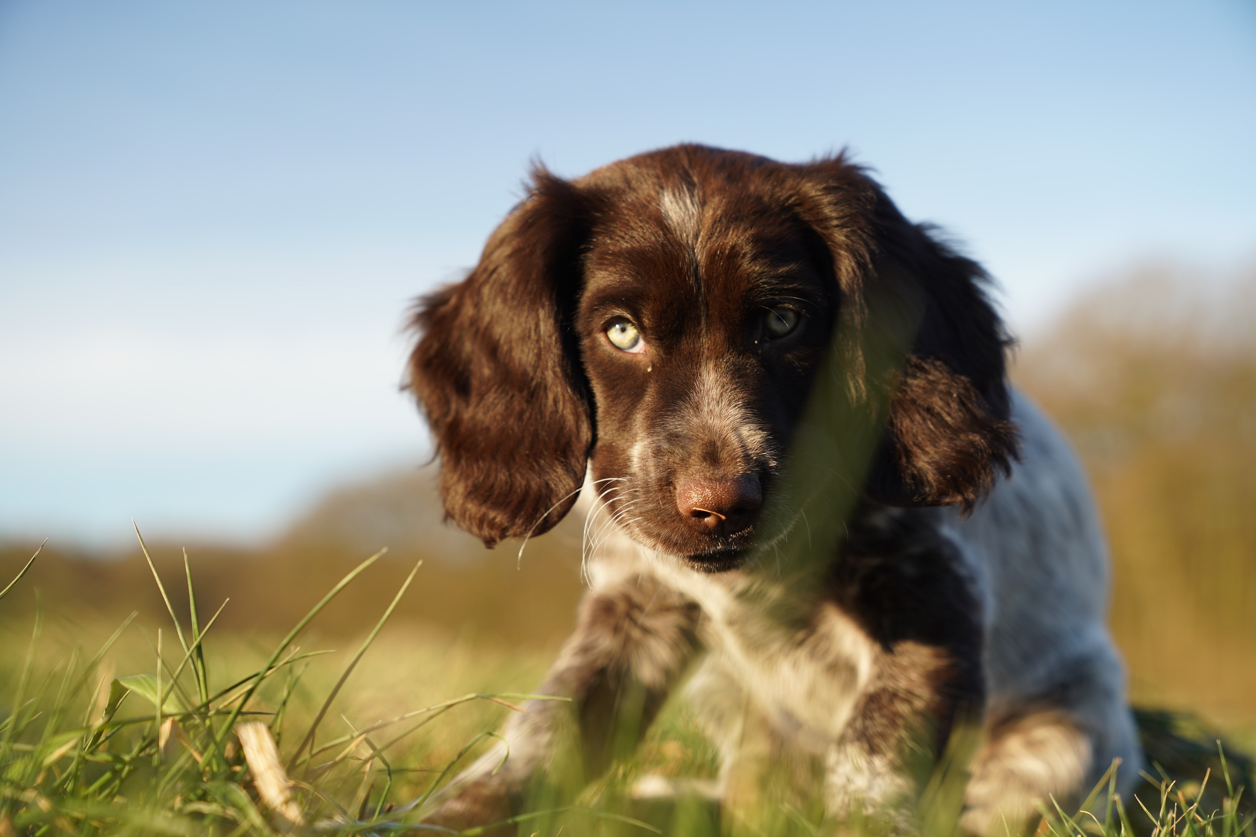tierisch gut drauf ….