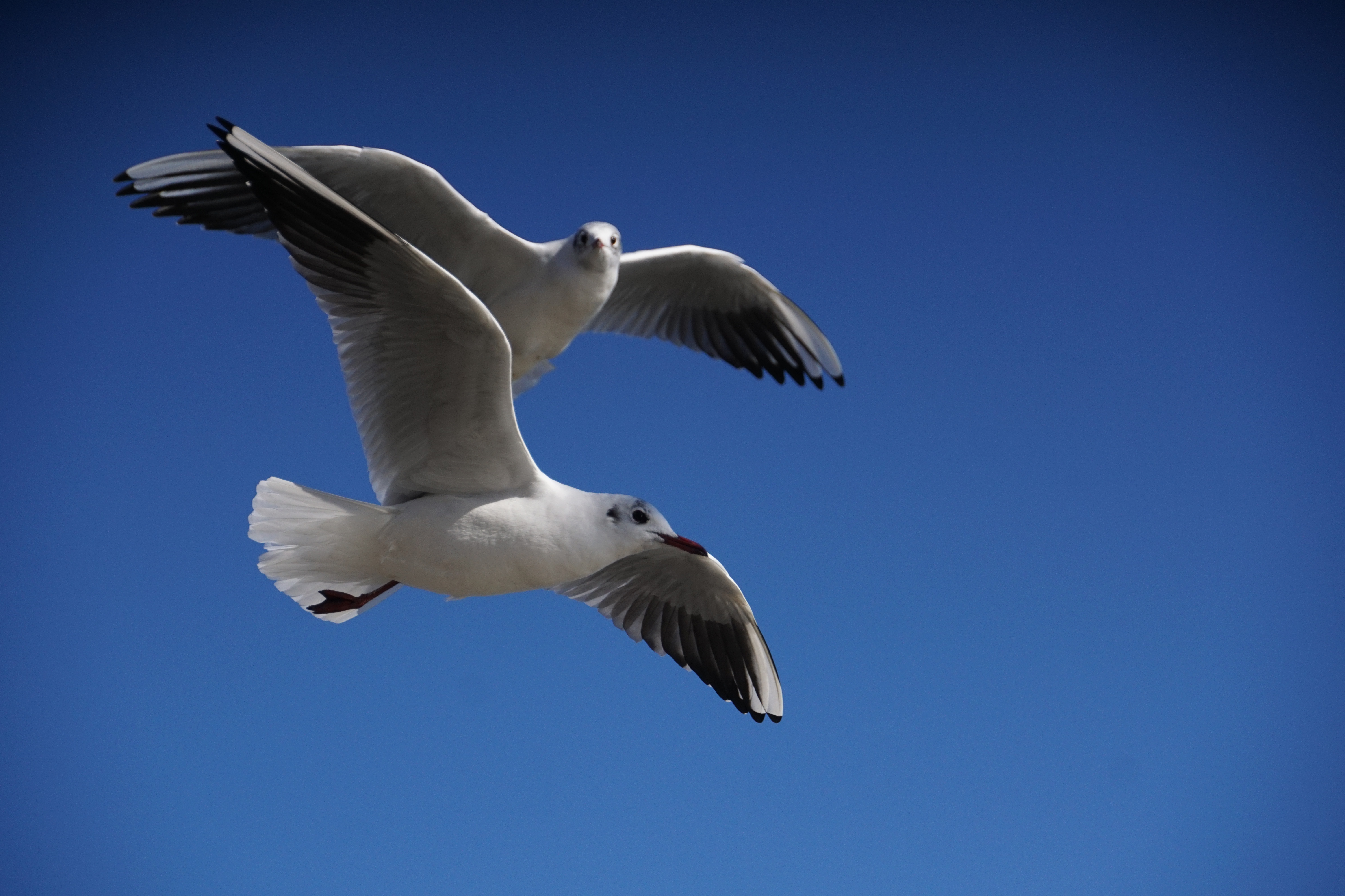 und Abflug